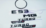 E53 COUPE AMG TURBO 4MATIC+ Rear Star Emblem glossy Black Badge for C238
