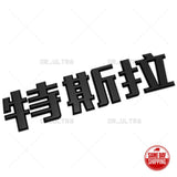 Tesla Rear Chinese 特斯拉 3D Decal Nameplate Logo Badge Emblem Decorate Gloss Black