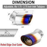 Universal Car Exhaust Blue Burnt Pipe Tip Rear Tail Muffler Stainless Curved 3.5